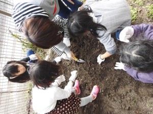 じゃがいも②