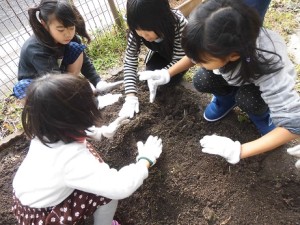 じゃがいも④
