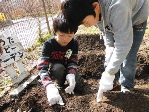 じゃがいも⑥
