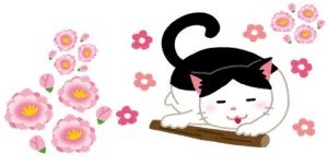 新春猫