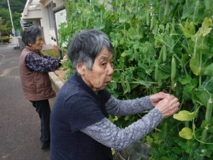 DSCF0096
