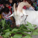 DSC03831