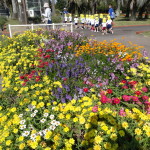 DSC04903