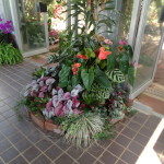 DSC04970