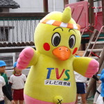 DSC08817
