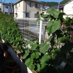 DSC02035