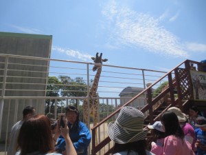 IMG_8021