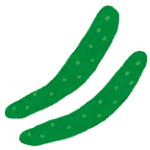 kyuuri_cucumber
