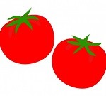 vegetable_tomato_9763-450x337